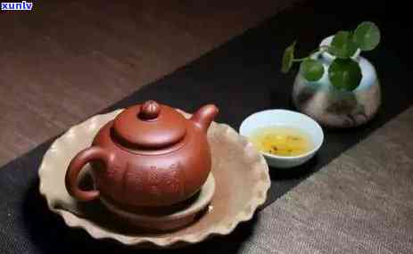 喝了可以喝茶吗，与茶：能否同时饮用？