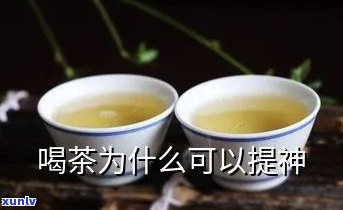 云南七子饼八中黄印-云南七子饼黄印价格