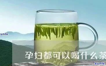 孕妇泡茶可以喝什么-孕妇泡茶可以喝什么饮料