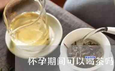 怀孕的时候能喝茶吗-怀孕的时候能喝茶吗?