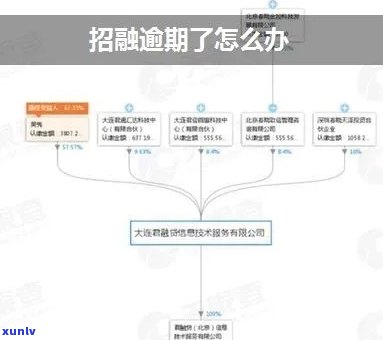 逾期招联消费金融了会怎么办，逾期还款招联消费金融？教你应对  ！