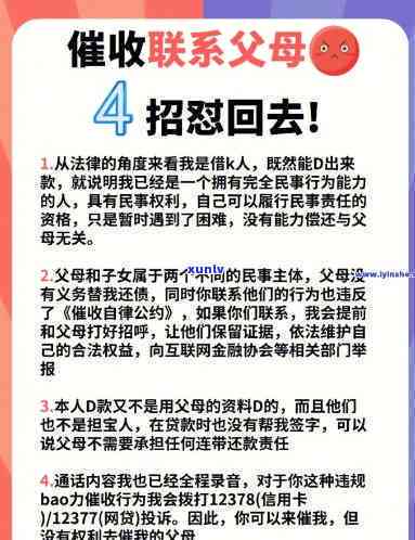 云南七子老班章普洱357克一饼价格及品质比较