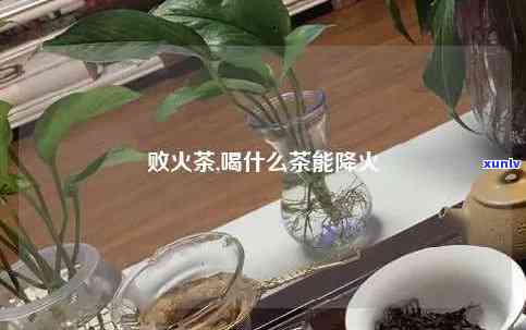 茶有清火效果吗？从知乎到百度百科的探究