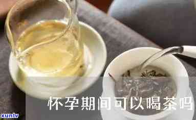 准备怀孕可以喝茶吗-准备怀孕可以喝茶吗?