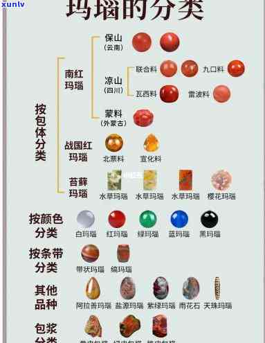 全面了解：各种玛瑙价格对比图与详细分析