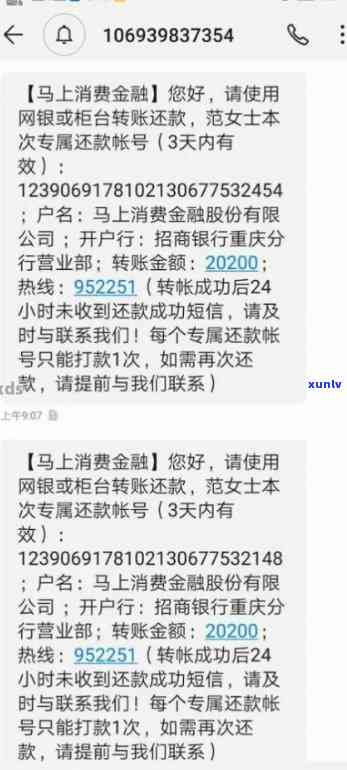 古树普洱茶技术指标：内容、方面与要求