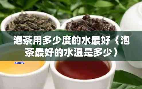 泡茶从什么茶开始泡-泡茶从什么茶开始泡比较好