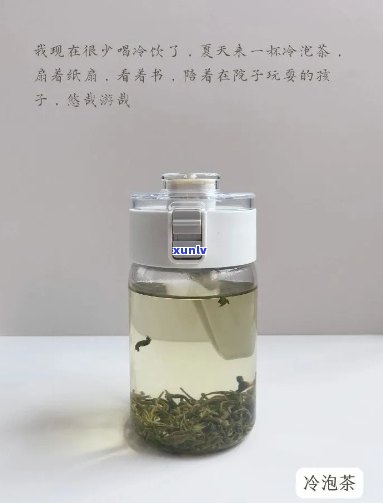 冷泡茶是什么茶-冷泡茶是什么茶种