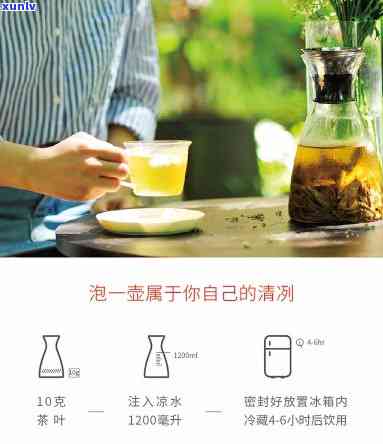 冷泡茶是什么茶-冷泡茶是什么茶种