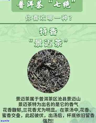 七泡茶是属于什么茶类，探秘茶叶世界：什么是七泡茶？它属于哪种茶类？