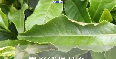 急性胃炎可以喝茶吗-急性胃炎可以喝茶吗