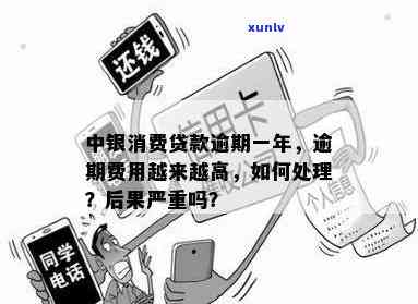 消费贷严重逾期解决方案：怎样解决？