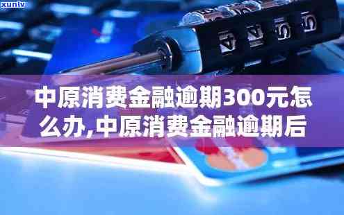 中原消费逾期3年-中原消费逾期3年会怎样