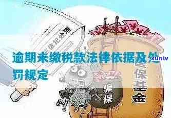 逾期未消费税务处罚标准及依据全解析