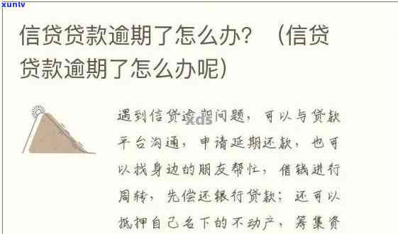 领贷逾期了，警惕！领贷出现逾期，借款人需尽快解决