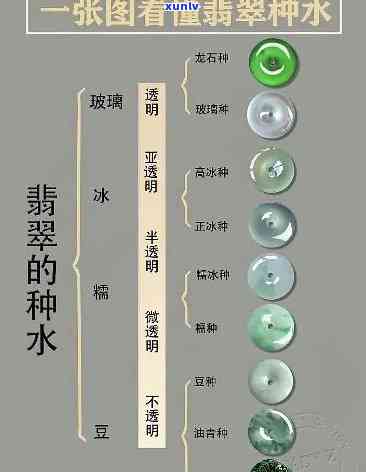 翡翠国际标准，探索翡翠之美：解读翡翠国际标准