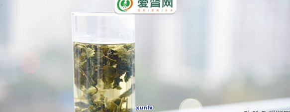 肾不好可以喝茶水吗？女性适用吗？