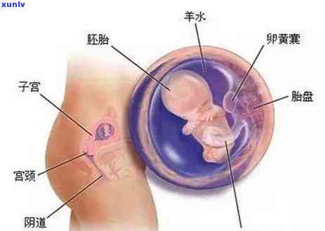 领货逾期58天-领贷逾期四年