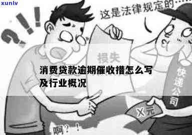 全面解析：消费贷款逾期措及实方案