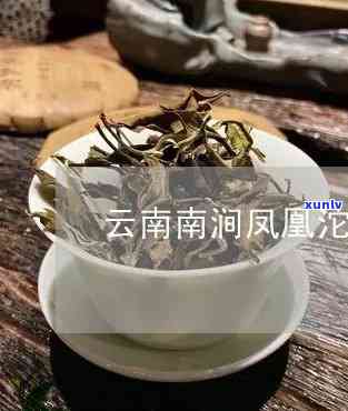 南涧县凤凰精制茶厂 *** 号码是多少？