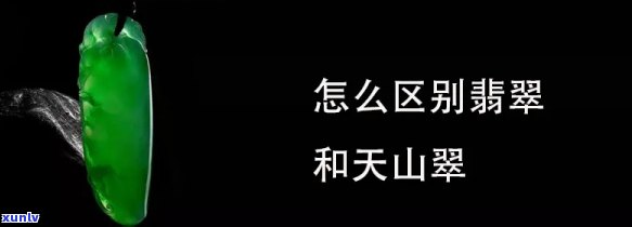 冰绿的翡翠手镯价格及价值评估