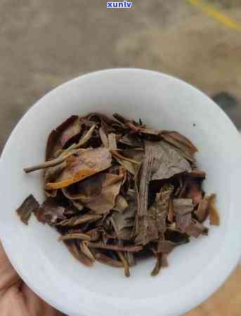 昆明西山区春明茶厂班章生态有机茶砖02年500克：2004年金奖班章古树茶价值与介绍