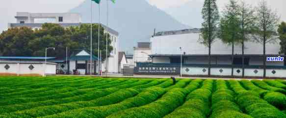 浙江天台县家茶厂地址查询