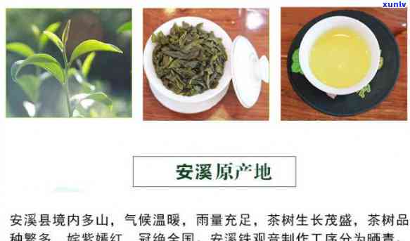 义顺安茶官网，探索优质茶叶世界：义顺安茶官网带你了解最新产品与优信息