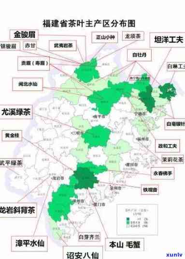 福鼎最早的国营茶厂位置及建立信息