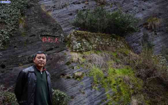 武夷山市岩香苑茶厂地址，寻找好茶？不可错过的武夷山市岩香苑茶厂地址！