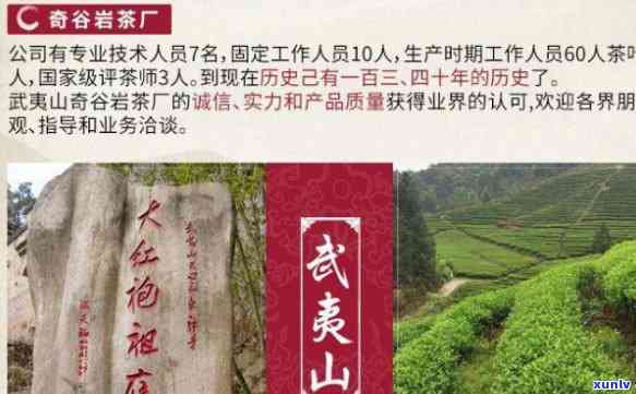 武夷山印象岭阳茶厂-武夷山印象岭阳茶厂茶叶价格