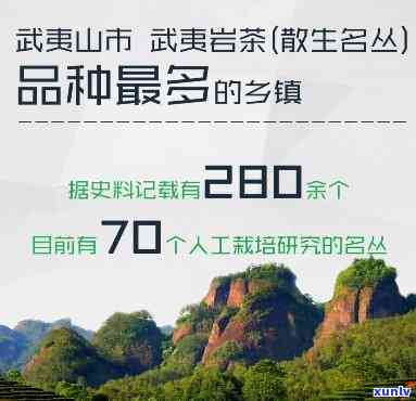 探索金镶高冰种翡翠原石的魅力与价值：揭示其价格背后的奥秘