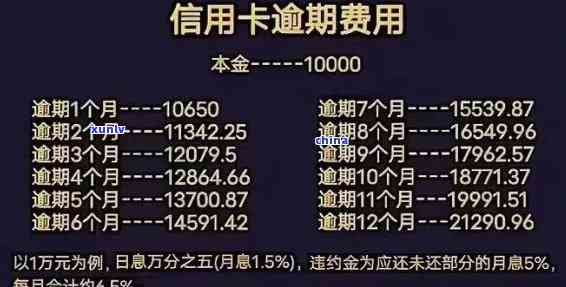 踏实消费逾期利息怎么算，怎样计算踏实消费的逾期利息？一份详细指南