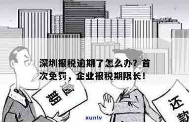 深圳企业报税逾期首次免罚，深圳实行企业报税逾期首次免罚政策