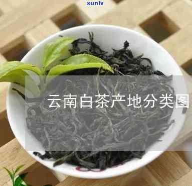 云南景谷白龙茶业股份：茶叶种类与产量概况