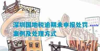 深圳地税逾期申报处理 *** 及流程全解析