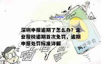 深圳报税逾期了怎么办，深圳报税逾期处理攻略