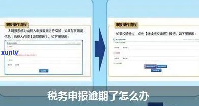 地税申报逾期了怎么办，怎样解决地税申报逾期疑问？