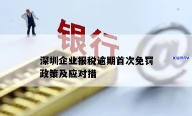 深圳企业报税逾期首次免罚政策：合条件者可享受减免