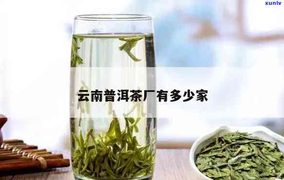 云南高山源茶厂：官网直供，云飘香茶叶，源自云南高山原产地