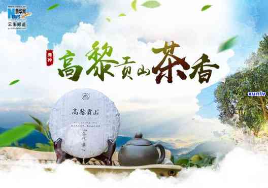 云南高山源茶厂：官网直供，云飘香茶叶，源自云南高山原产地