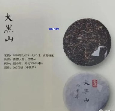 明星火茶厂曼松：全系列茶样及与明茶厂对比