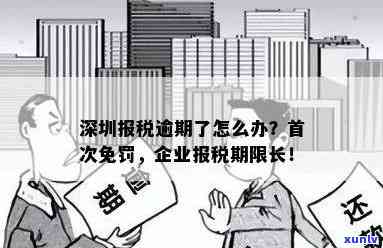 深圳企业报税逾期首次免罚，好消息！深圳企业报税逾期可首次免罚