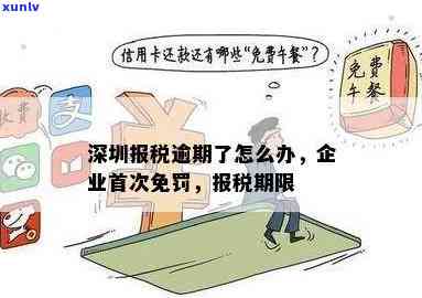 深圳报税逾期了怎么办？解决办法与流程详解