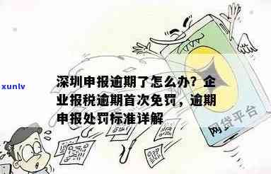 深圳报税逾期了怎么办？解决办法与流程详解