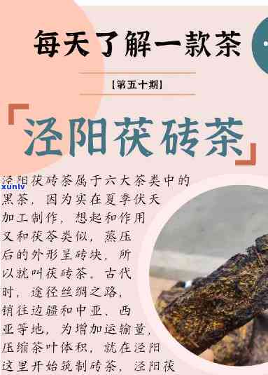 泾阳茯茶厂家排名及其正确喝法全揭秘，一文读懂前十名