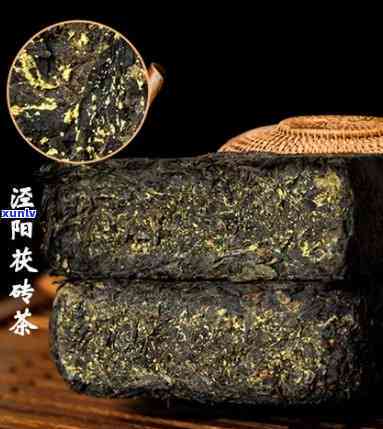 泾阳茯茶厂家一览表-泾阳茯茶厂家一览表及价格