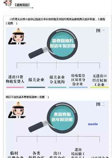 深圳海关逾期年报办理指南：步骤、手续全解析