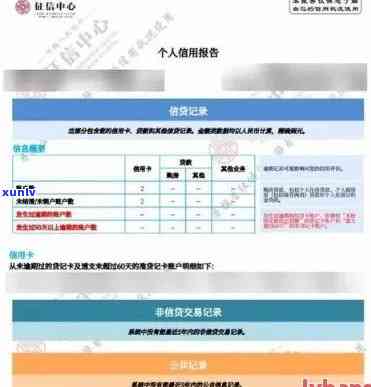 凤庆滇红大金芽特点：了解其特性和价格