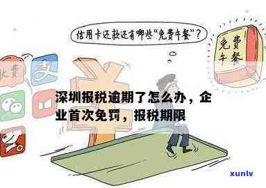 深圳年报逾期申报怎么办？详解办理流程及所需手续